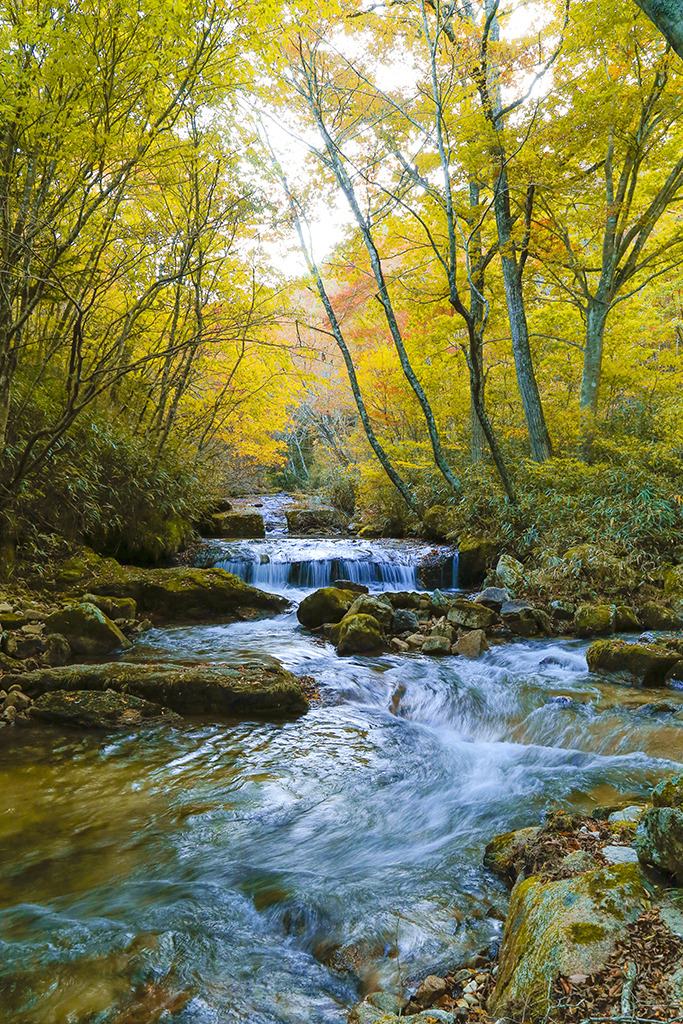 秋の千翁川 / 川内村